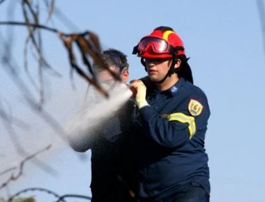 Θεσσαλονίκη: Υπό πλήρη έλεγχο η φωτιά στο χωριό Λουδίας